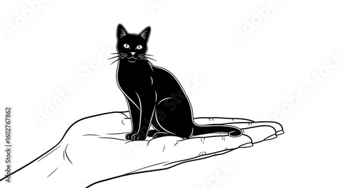 Black cat perched on an outstretched hand, symbolizing companionship and magic