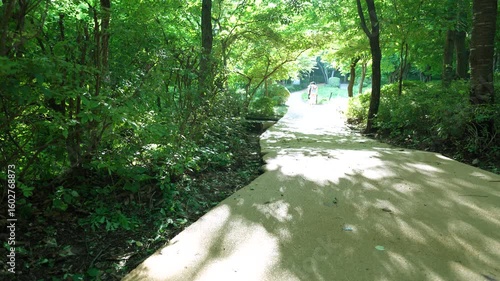 Family Walking Along Forest Path in Peaceful Urban Park