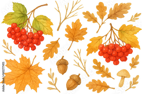 Bright watercolor autumn foliage composition with red berries, acorns, and various fall leaves in orange and yellow tones, hand-painted in natural style. Vector illustration.