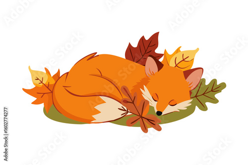 Sleeping fox autumn leaves vector illustration fall season animal graphic art