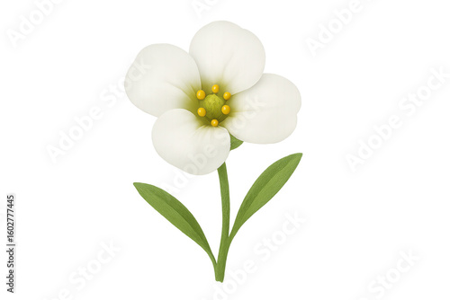 White wildflower with green leaves blooming on transparent background, perfect for nature-themed projects