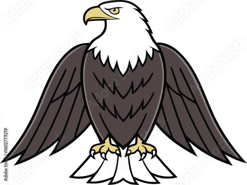 bald eagle isolated on white