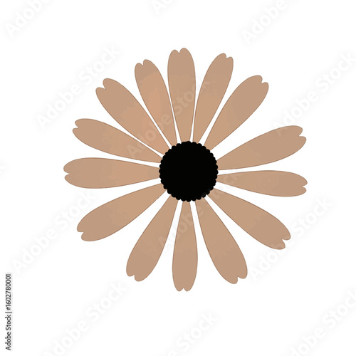 Stylized daisy silhouette with sandy petals on white background, natural beauty