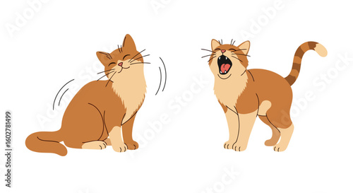 Animated Ginger Cat Expressions: Happy and Yawning