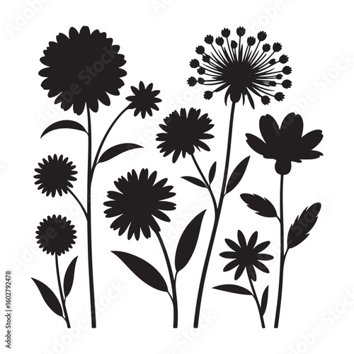 Collection of wildflower silhouettes