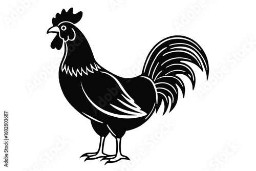 Black and White Rooster Illustration Farm Animal Graphic