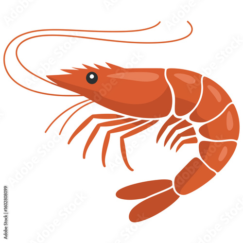 shrimp on a white background