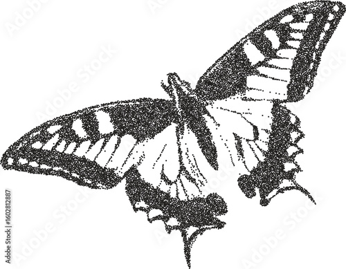 Butterfly y2k retro stipple art wings brutalist halftone vector png transparent, insect 2000s photocopy effect tattoo aesthetic