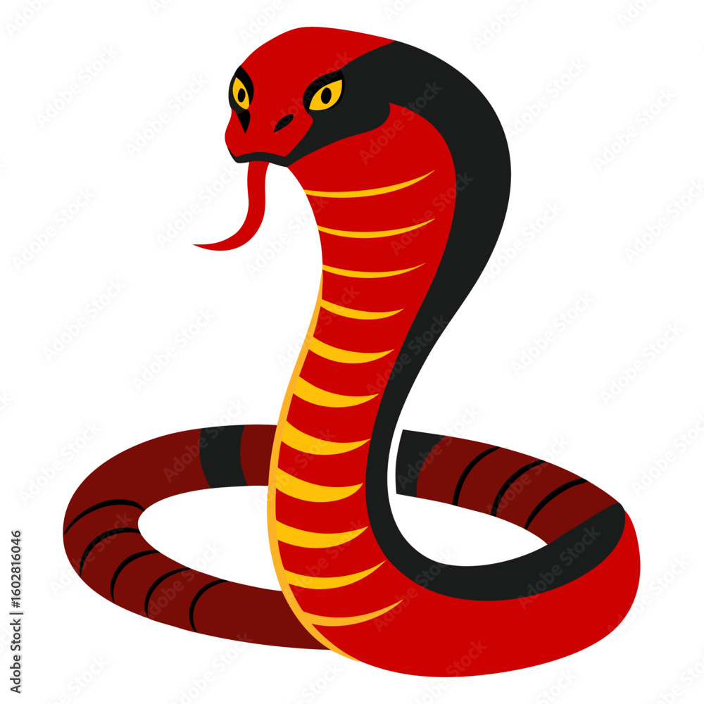 Fototapeta premium King Cobra snake