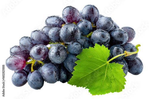 Harvesting fresh grapes vineyard food photography outdoor close-up. Isolated on transparent background, png.