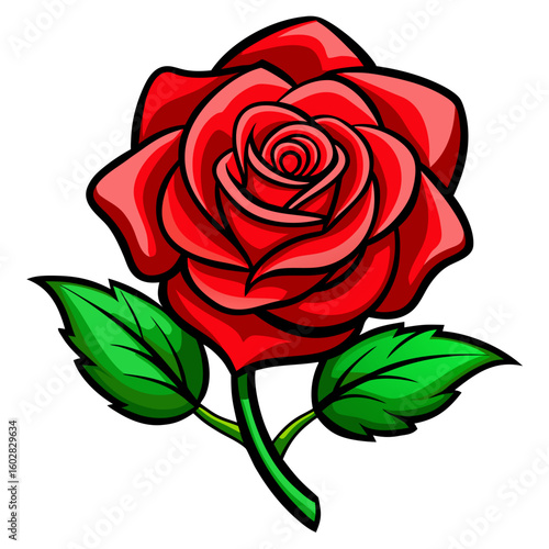 rose