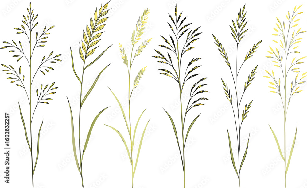 Fototapeta premium Watercolor botanical illustrations of twenty grasses and shrubs in muted tones, arranged in a clean grid on a white background