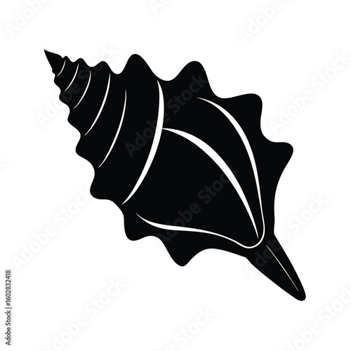 Black Conch shell silhouette vector 