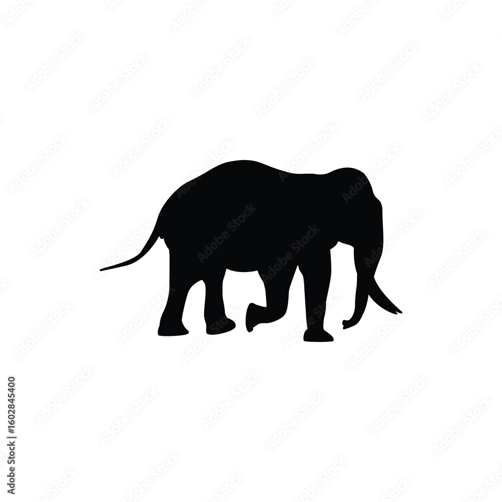 Obraz premium Elephant Move