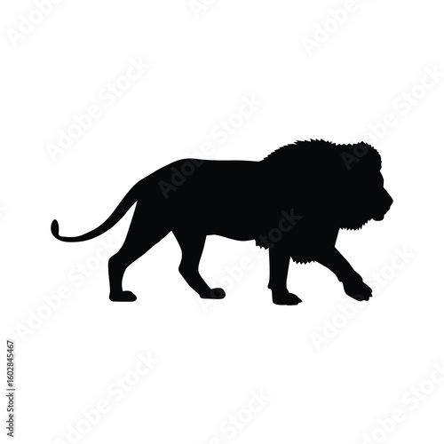 Lion Walk