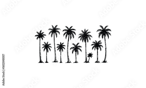 Silhouette of eight tall palm trees on white background. Vector retro hand drawn illustration.