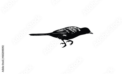 Silhouette of a perched bird on white background. Vector retro hand drawn illustration.