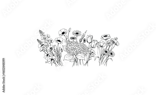 Black and white floral line art featuring diverse flowers and foliage. Vector retro hand drawn illustration.