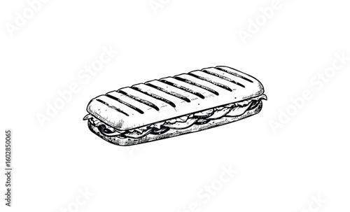 Detailed grilled panini sandwich illustration with filling. Vector retro hand drawn illustration.