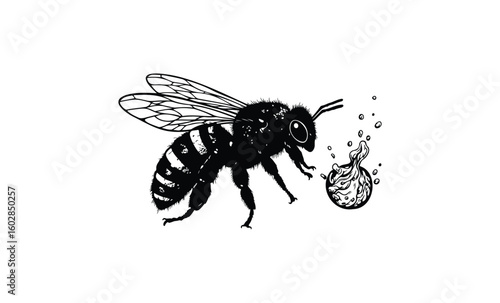 Detailed black-and-white drawing of a bee facing a flaming sphere. Vector retro hand drawn illustration.