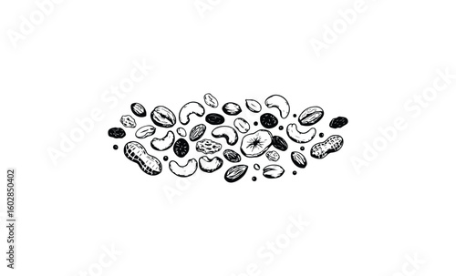 Variety of hand-drawn nuts and seeds with cashews almonds peanuts hazelnuts and more. Vector retro hand drawn illustration.