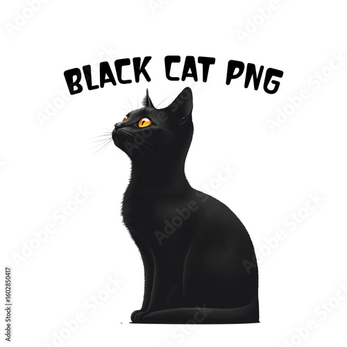Cute Black Cat PNG Clipart Bundle  Sitting Cat Illustrations.