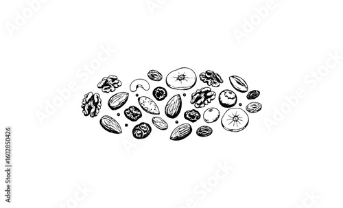 Hand-drawn collection of various nuts and seeds in black and white. Vector retro hand drawn illustration.