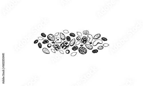 Hand-drawn assorted nuts and seeds on white background. Vector retro hand drawn illustration.