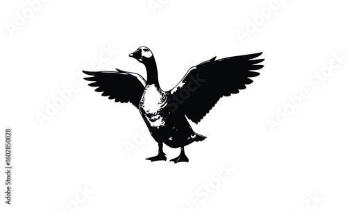 Monochrome goose illustration with wings spread on white background. Vector retro hand drawn illustration.