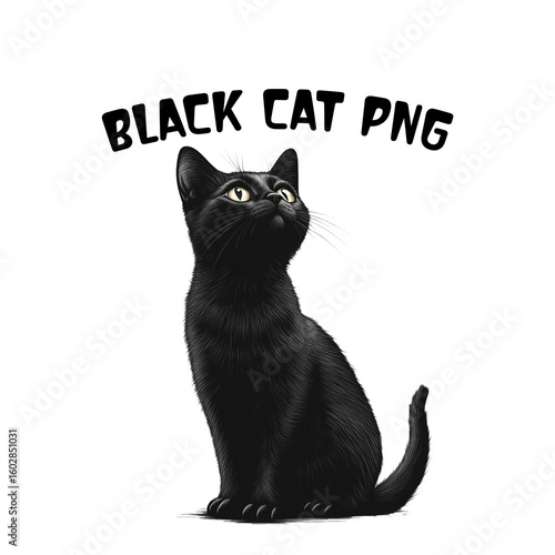 Cute Black Cat PNG Clipart Bundle  Sitting Cat Illustrations.