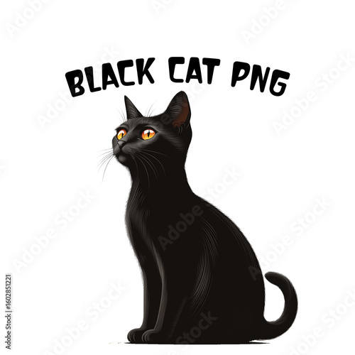 Cute Black Cat PNG Clipart Bundle  Sitting Cat Illustrations.