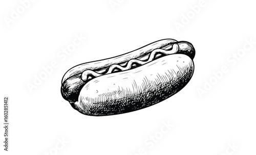 Black and white hot dog sketch with mustard on a bun. Vector retro hand drawn illustration.