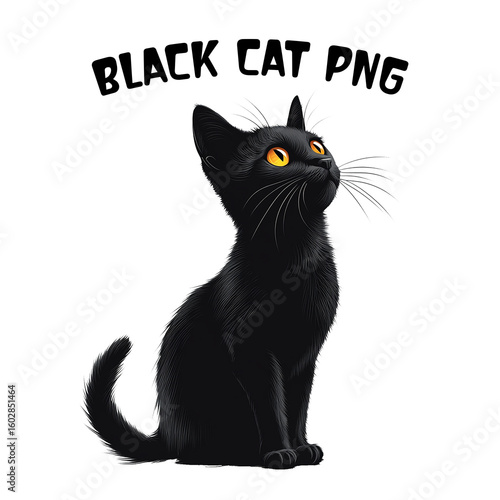 Cute Black Cat PNG Clipart Bundle  Sitting Cat Illustrations.