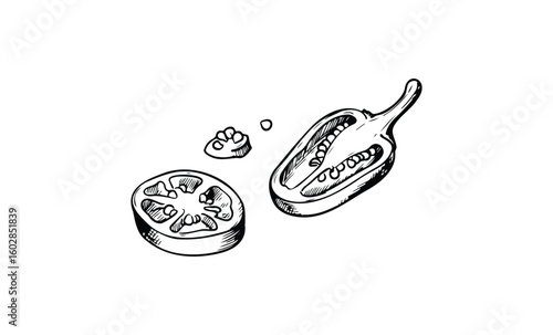 Vector-style black and white drawing of a tomato slice and bell pepper with seeds. Vector retro hand drawn illustration.