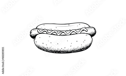 Hand-drawn hot dog illustration with mustard on bun. Vector retro hand drawn illustration.