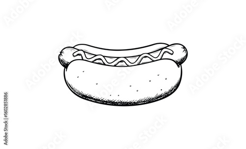 Black and white hot dog sketch with detailed sausage and bun design. Vector retro hand drawn illustration.