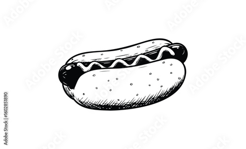 Black and white illustration of a classic hot dog with mustard. Vector retro hand drawn illustration.