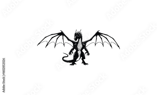 Monochrome dragon illustration with intricate wings and fierce stance. Vector retro hand drawn illustration.