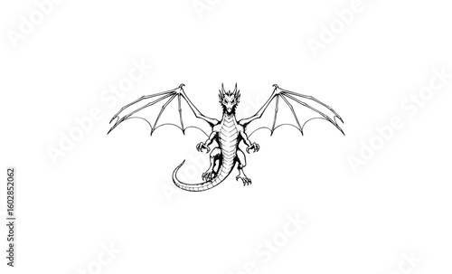 Detailed black and white dragon illustration with outstretched wings. Vector retro hand drawn illustration.