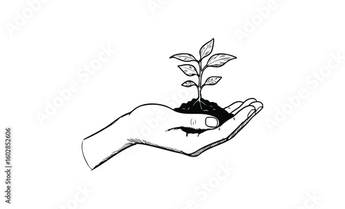 Black and white illustration of a hand holding a seedling growing from soil. Vector retro hand drawn illustration.