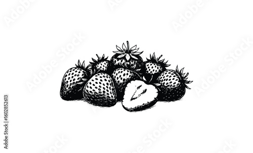 Detailed black and white illustration of fresh strawberries with halved fruit. Vector retro hand drawn illustration.