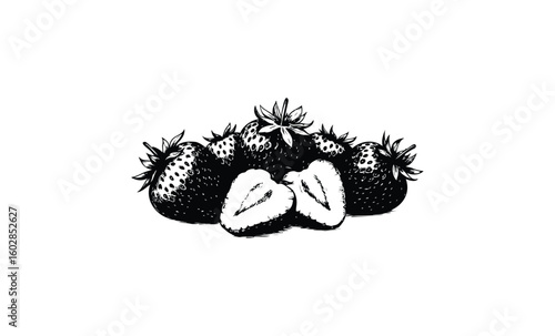 Detailed black and white sketch of ripe strawberries with halved centerpiece. Vector retro hand drawn illustration.
