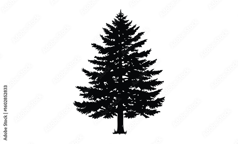 Obraz premium Silhouette of a pine tree isolated on white background displaying dense foliage. Vector retro hand drawn illustration.