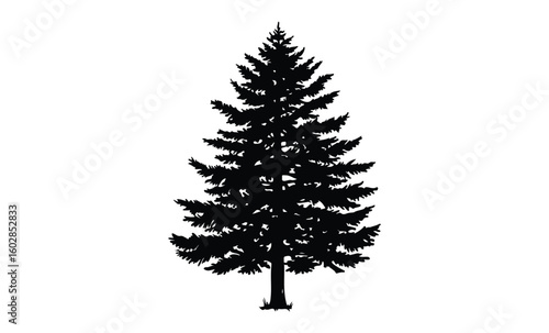 Silhouette of a pine tree isolated on white background displaying dense foliage. Vector retro hand drawn illustration.