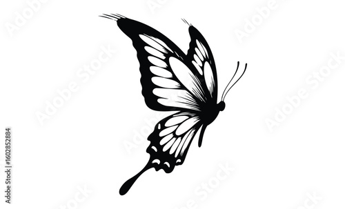Elegant monarch butterfly silhouette with detailed wings on white background. Vector retro hand drawn illustration.