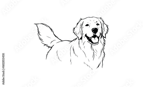 Joyful golden retriever sketch with wagging tail in black and white outline. Vector retro hand drawn illustration.
