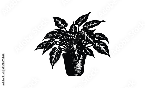 Black and white illustration of potted plant with broad leaves. Vector retro hand drawn illustration.