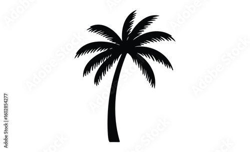 Black silhouette of palm tree on white background. Vector retro hand drawn illustration.