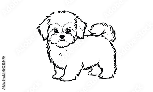 Adorable fluffy puppy sketch: cute white shaggy dog with curly tail drawing. Vector retro hand drawn illustration.