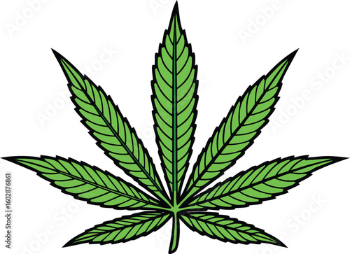 Detailed marijuana leaf drawing. Botanical vector illustration for educational and medical content.